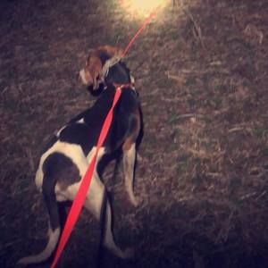 Meet your Posher, Mason